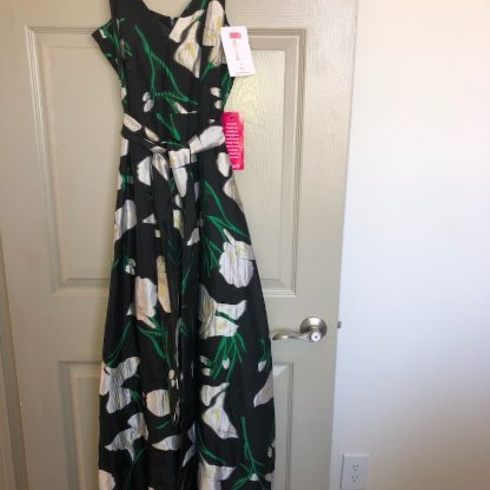 Belle Badgley Mischka Dress